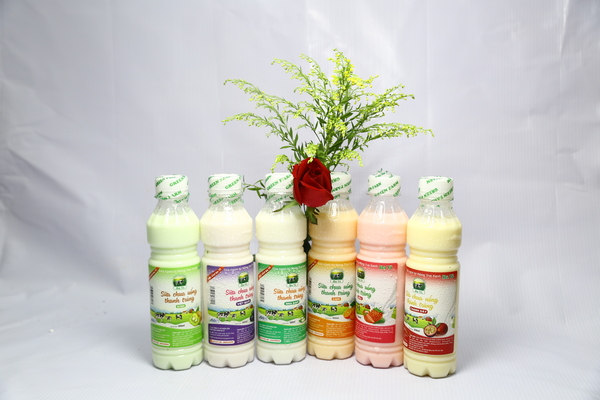 Sữa chua thanh trùng